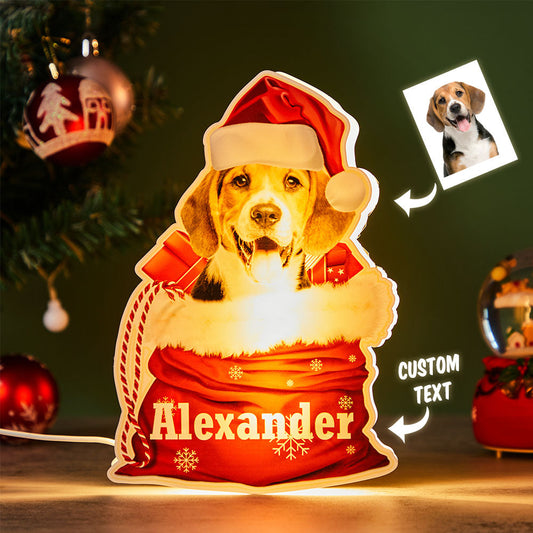 Personalized Pet Night Light Custom Photo Christmas Gift Basket Lamp | Inkedjoy