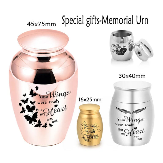 Angel Wings Small Urns for Human Ashes Holder Mini Cremation Urns for Ashes Alloy Metal Memorial Pet Dog Cat Bird Ash 5 Colors | Pretty N Pink Hair & More